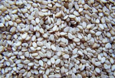 Recetas con sésamo (ajonjolí)
