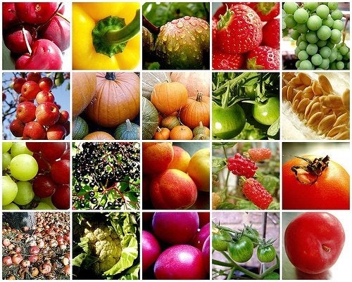 Veganos y vegetarianos, dos mundos distintos
