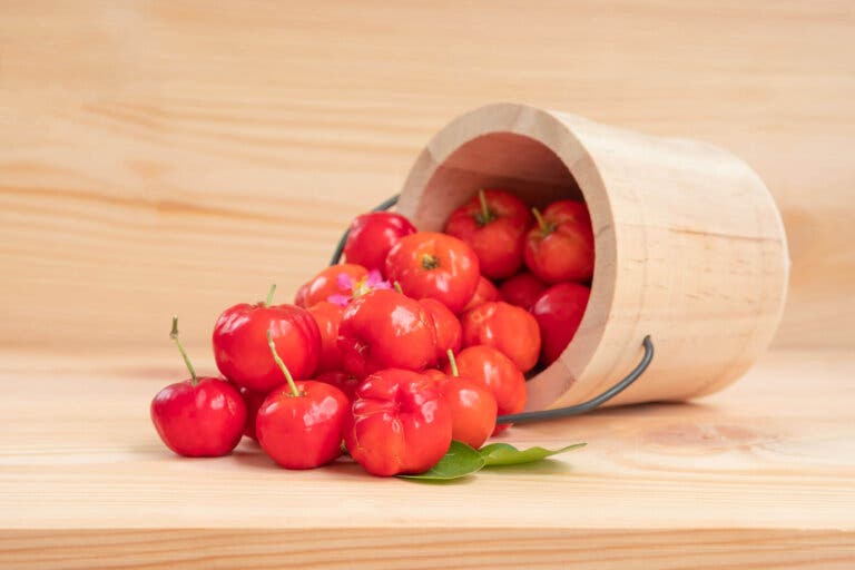 La acerola, la fruta rica en vitamina C