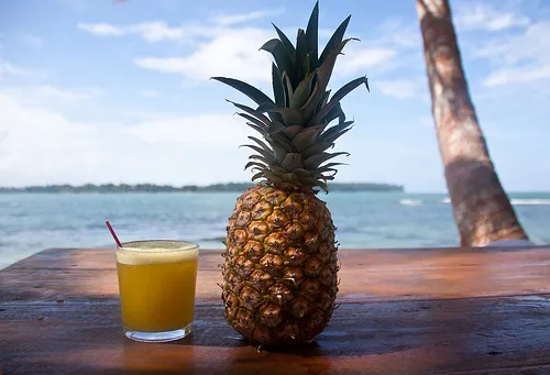 La piña es un alimento delicioso con múltiples propiedades.