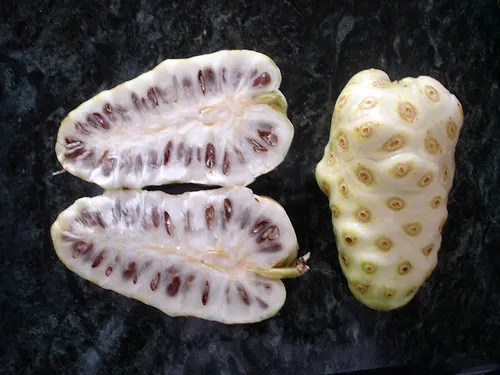 Los interesantes beneficios de la fruta del noni