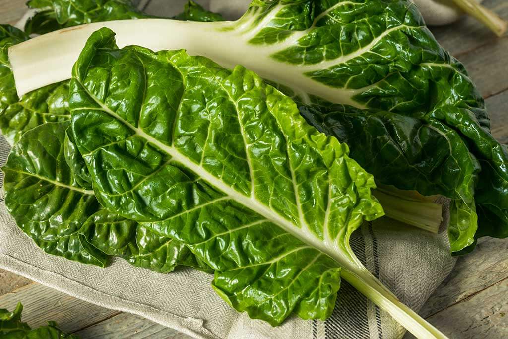 Beneficios de las acelgas, una verdura con muchos nutrientes