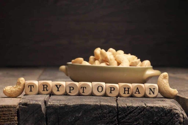 ¿Qué beneficios posee el triptófano en el organismo?