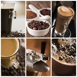 Conoce las propiedades del ácido cafeico