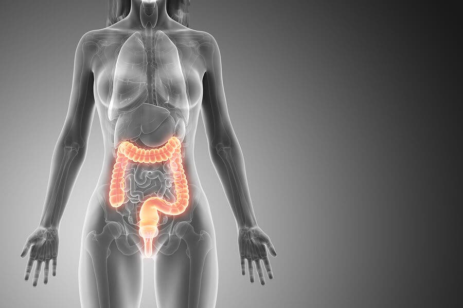 colon mujer