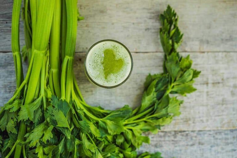 ¿Cuáles son los alimentos más diuréticos?