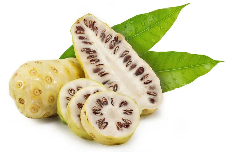 El noni: la fruta y sus beneficios