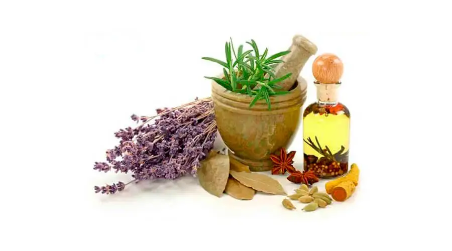 Antibióticos naturais