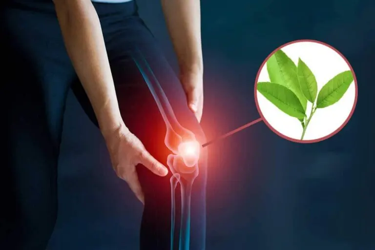 Hierbas para el dolor provocado por la artrosis
