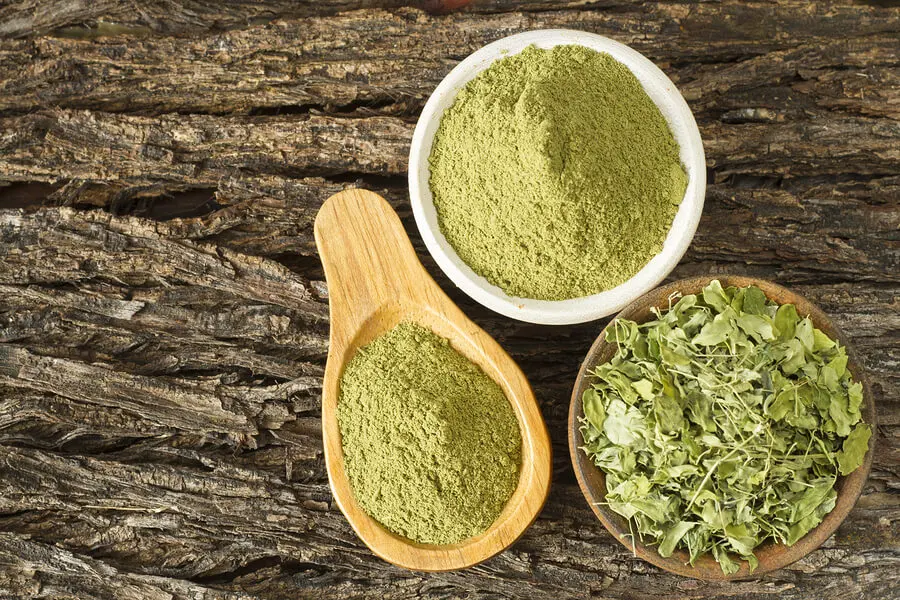 Hojas de moringa.