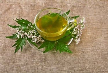 5 hierbas medicinales para tratar la depresión
