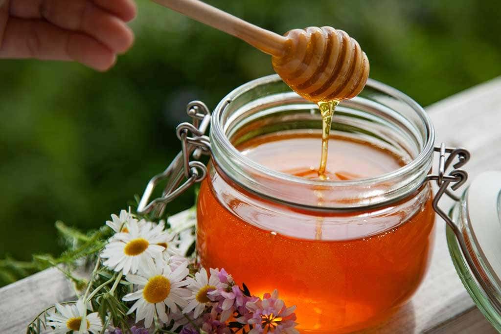 Propiedades de la miel y el jengibre