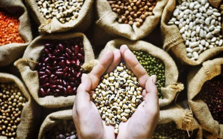 Alimentos para la anemia