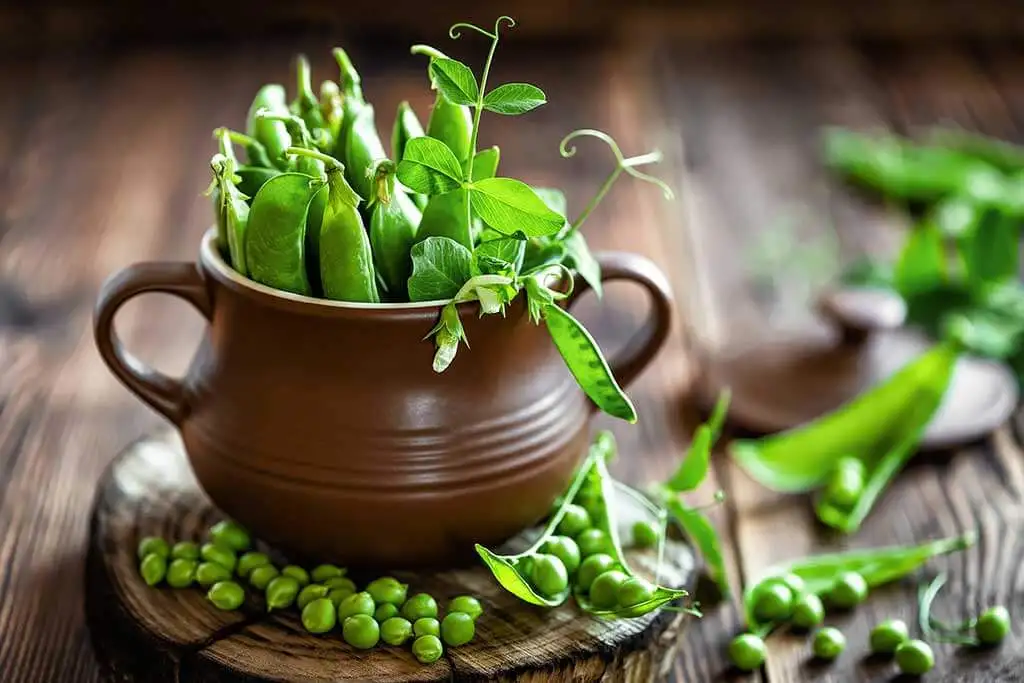 los guisantes son un gran aporte de proteína vegetal y fibra