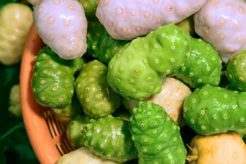 muchas frutas nonu
