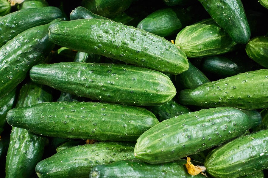 vele groene komkommers