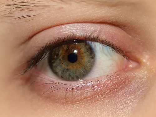 ojos