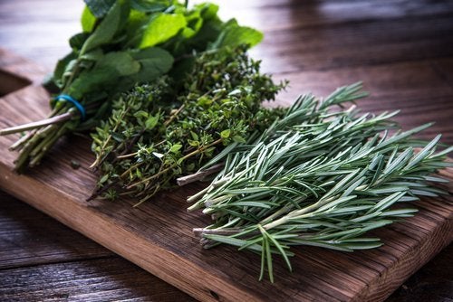 Propiedades medicinales de las plantas: ¿realidad o mito?