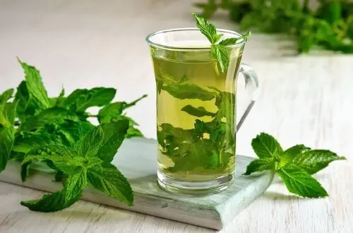 El té de menta es también especialmente útil durante periodos gripales