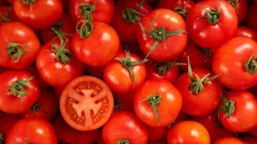Grande cantidad de tomates