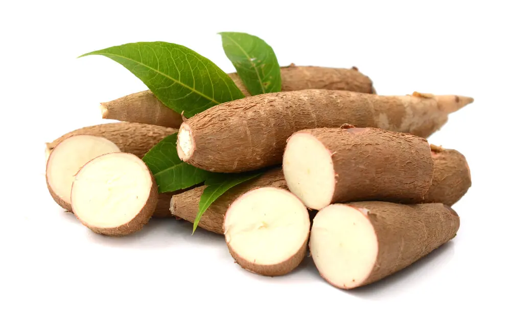 Hacer harina de yuca es posible.