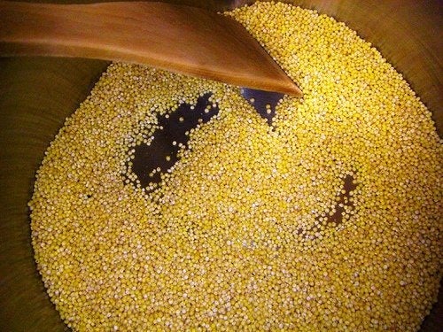 El mijo, un buen cereal