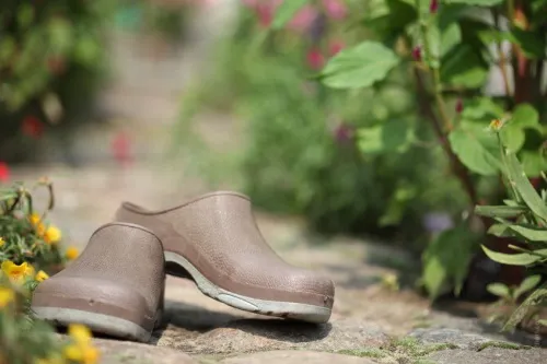 Zapatos en el campo.