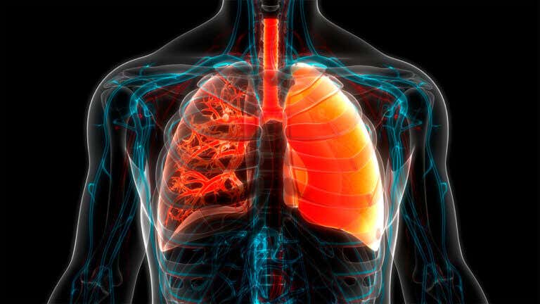 Fibrosis pulmonar: cómo se trata y cómo obtener alivio