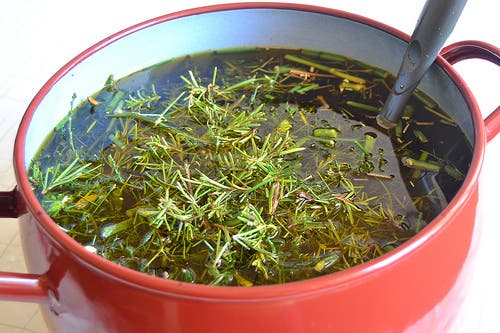 Hierbas-aromatica