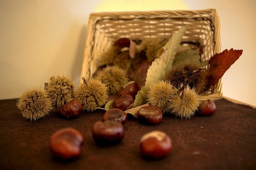 Las castañas, un fruto seco con gran valor nutricional