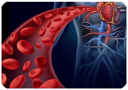 aorta e aneurisma