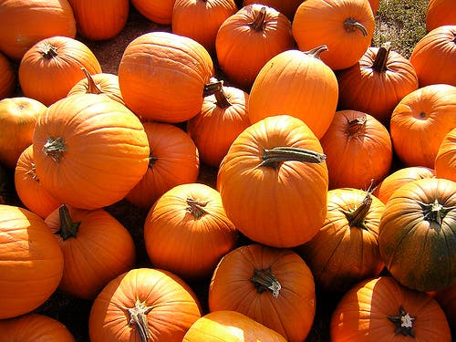 calabaza y beneficios de la calabaza