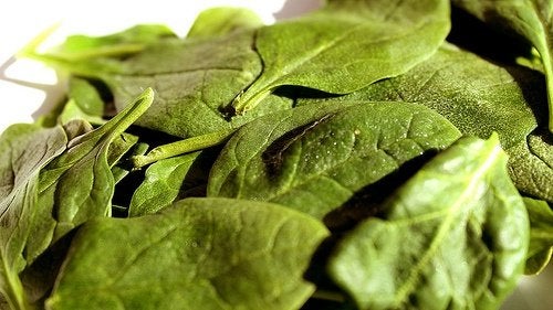 3 recetas sabrosas con espinacas