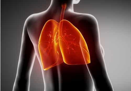 Fibrosis pulmonar: cómo se trata y cómo obtener alivio