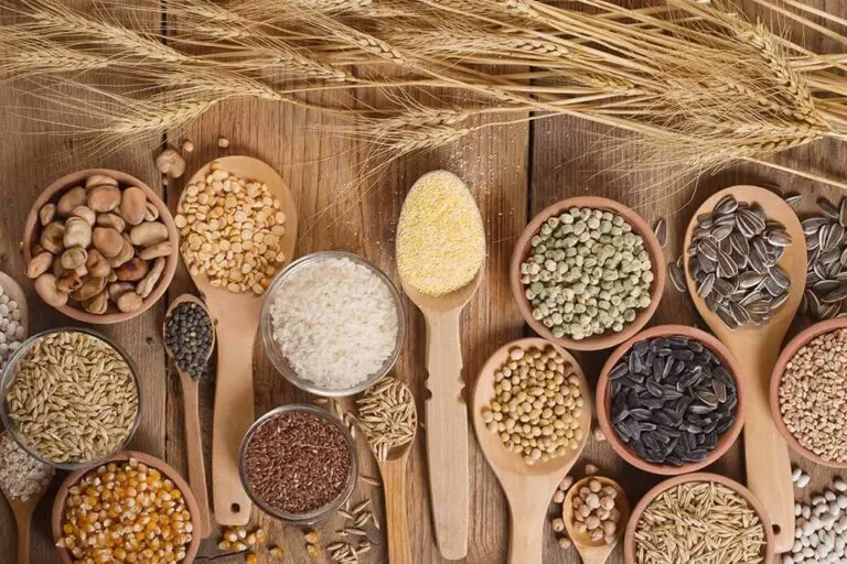 Granos integrales que deben estar en tu dieta