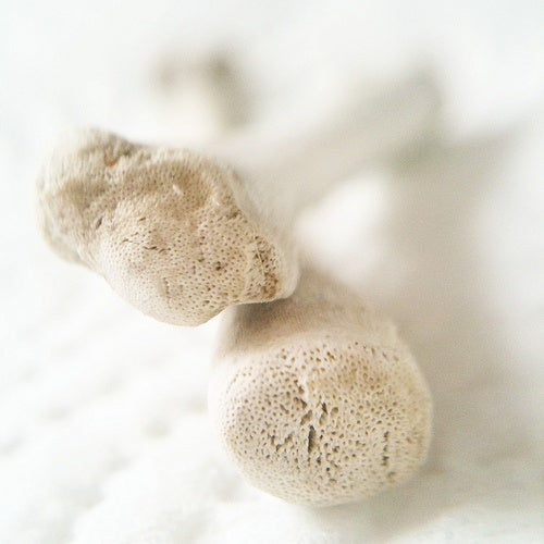 Nutrición para unos huesos fuertes y sanos