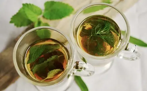 Infuso di salvia contro il dolore alla spalla.