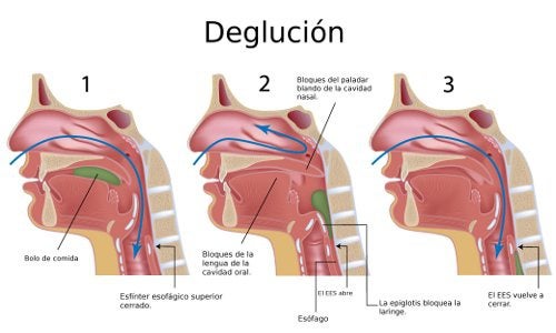 La maniobra de Heimlich para casos de atragantamiento