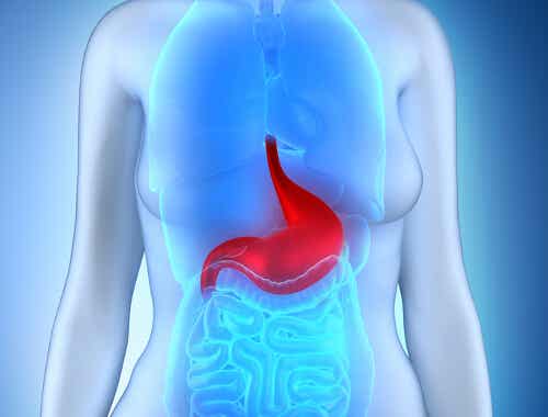 Síntomas de una posible úlcera gastroduodenal: ¡Conócelos!
