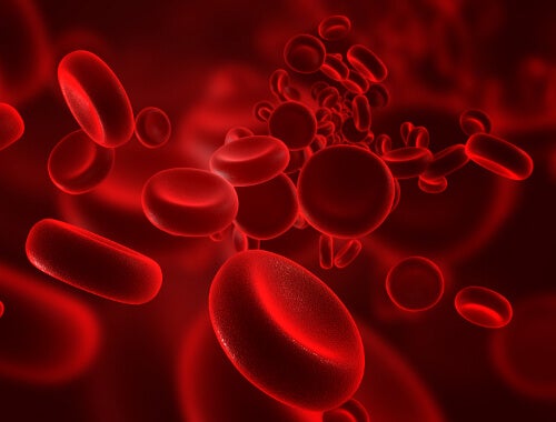 Tips para aumentar los glóbulos rojos naturalmente - Mejor con Salud