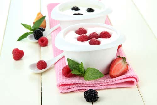 el yogur nutritivo