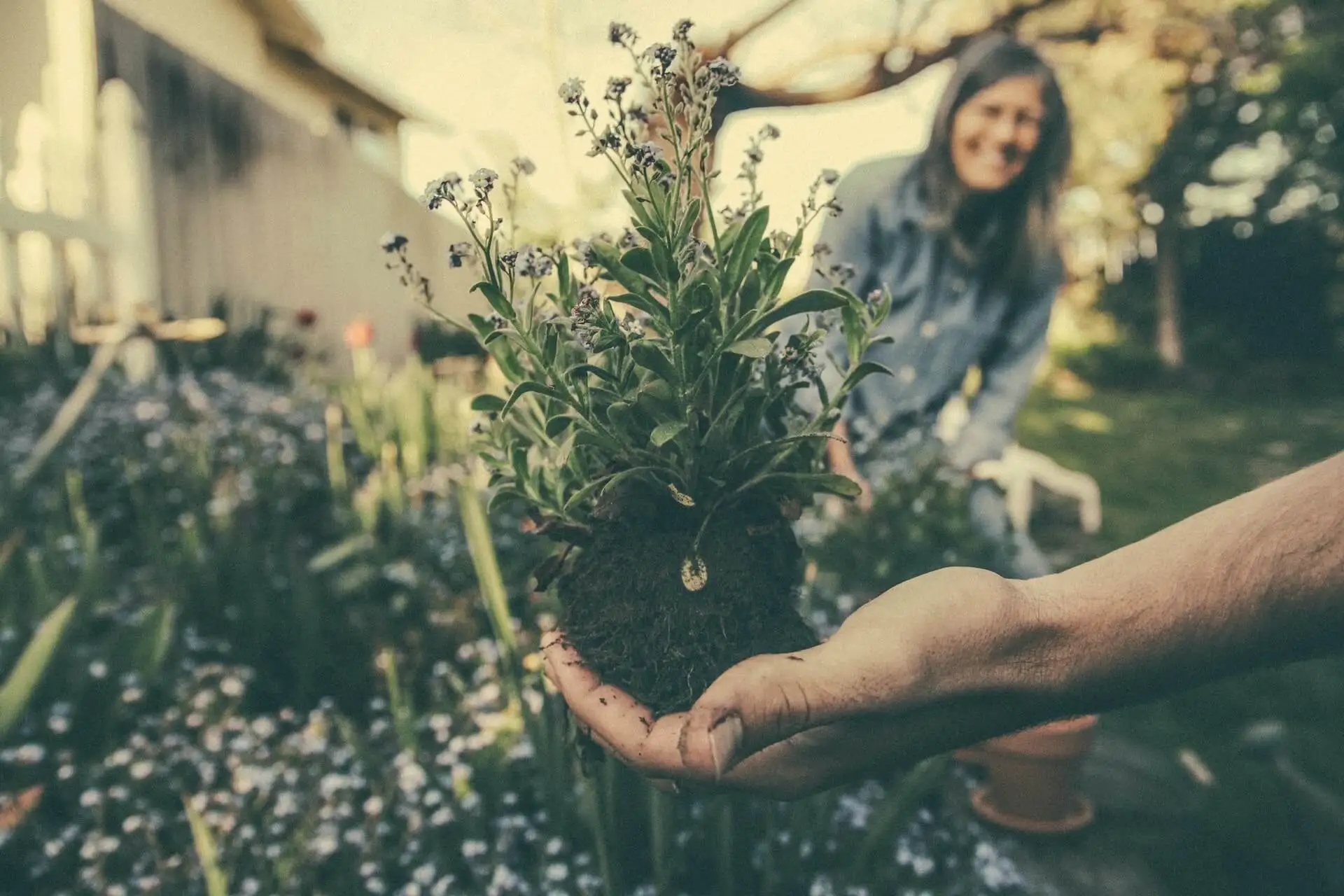 Hacer jardinería.
