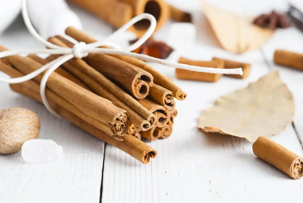 Ramas de canela