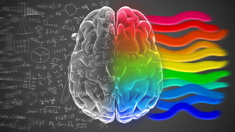 Hemisferios cerebrales y personalidad: ¿un mito?