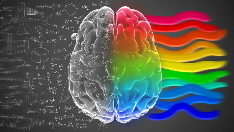Hemisferios cerebrales y personalidad: ¿un mito?