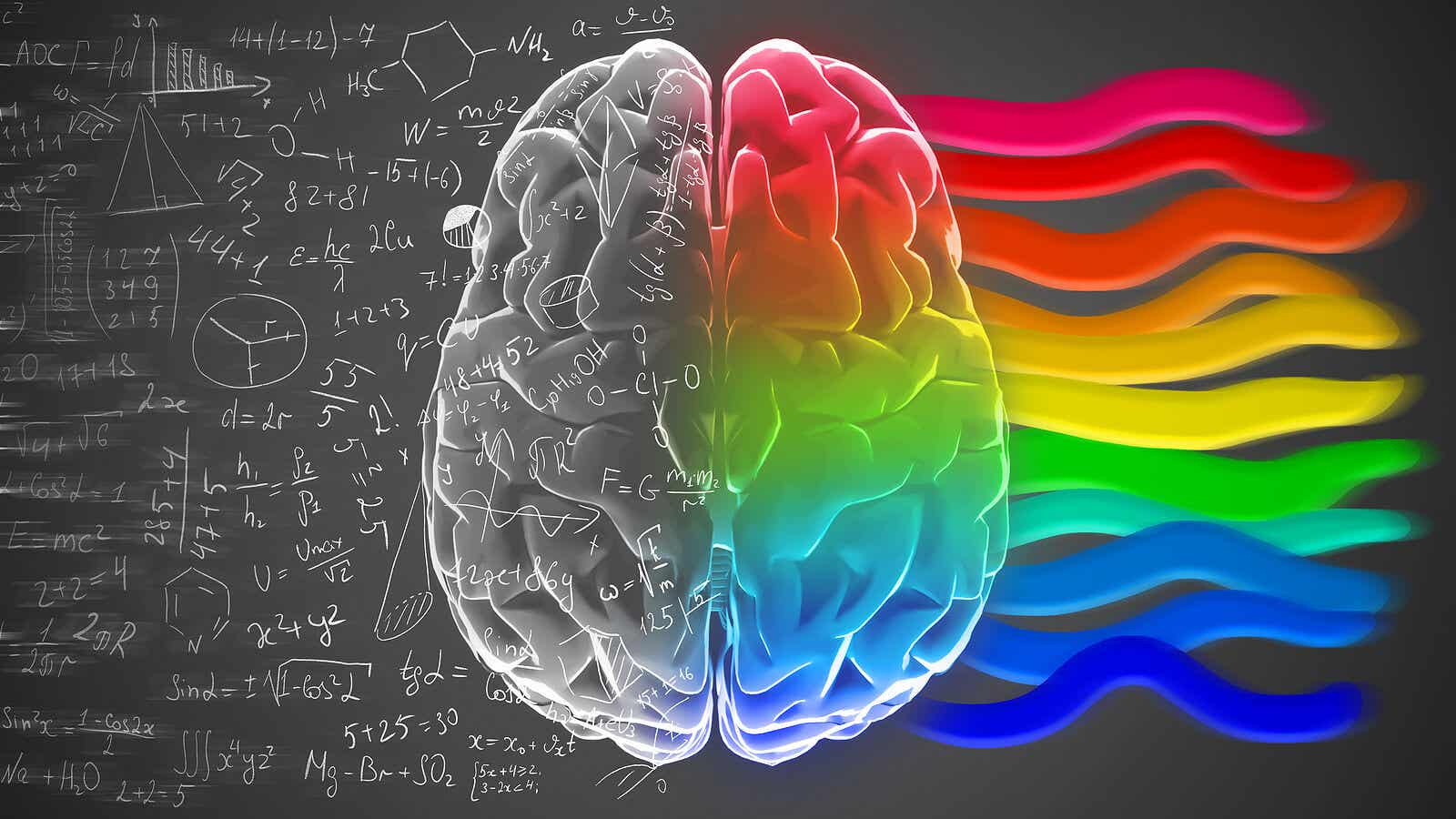 Hemisferios cerebrales y personalidad: ¿un mito?