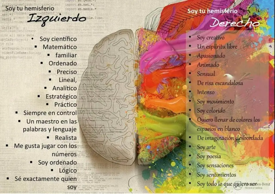 Hemisferios cerebrales y personalidad, ¿mito o realidad?