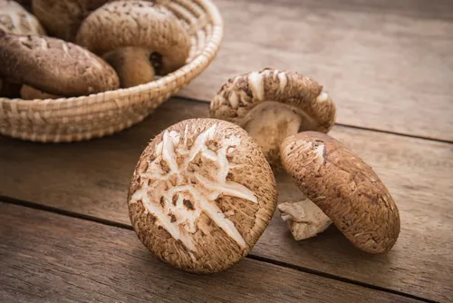 Hongo Maitake: propiedades y relación con el cáncer