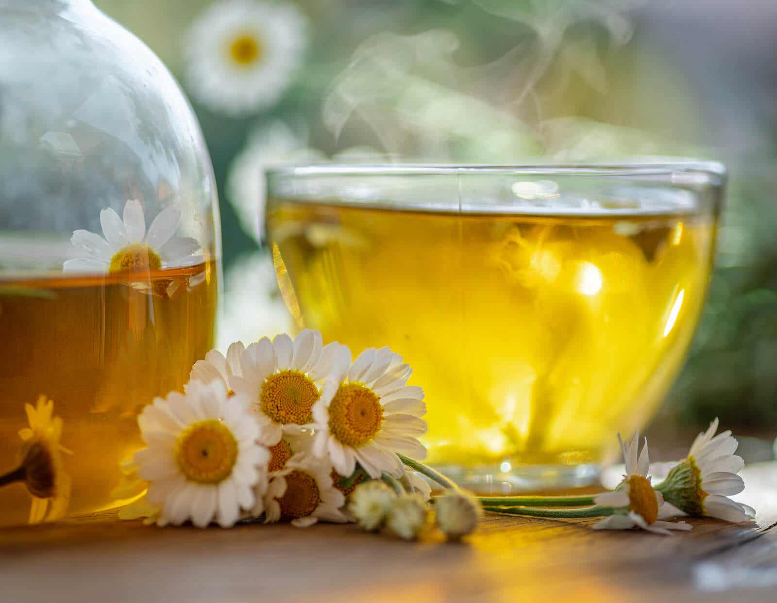 Kosmetikpflanzen - Kamillenblüten und eine Tasse Tee