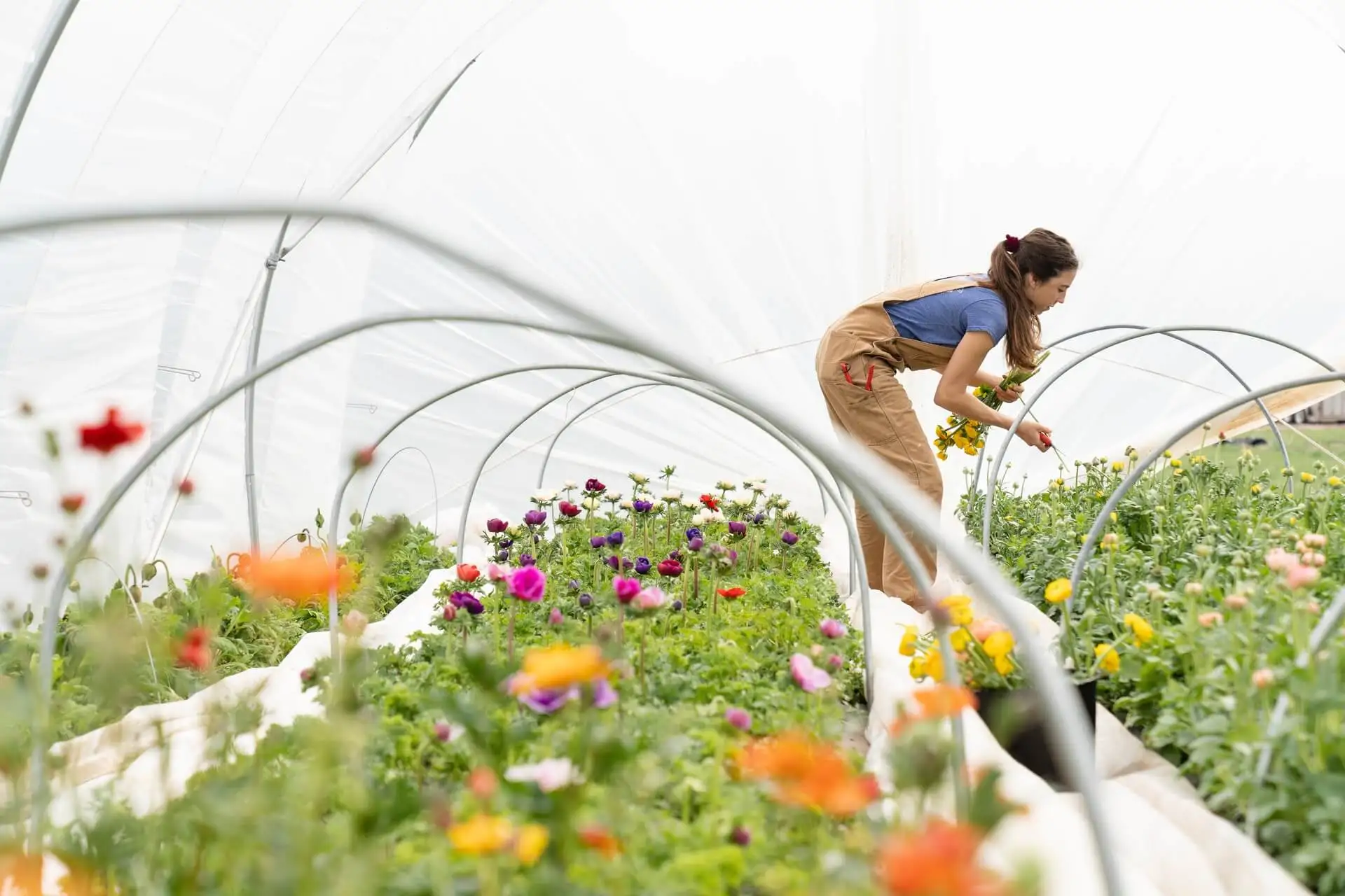 Mujer regando flores.